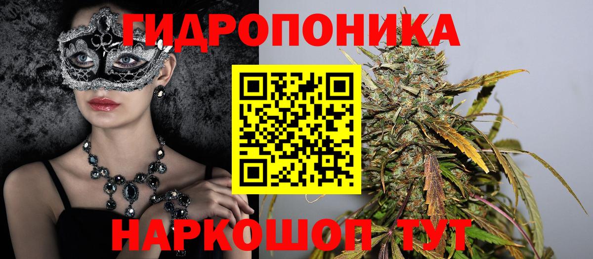 Канабис план  Вход с VPN  Марихуана THC 21%  Сальск  Марихуана Bruce Banner 